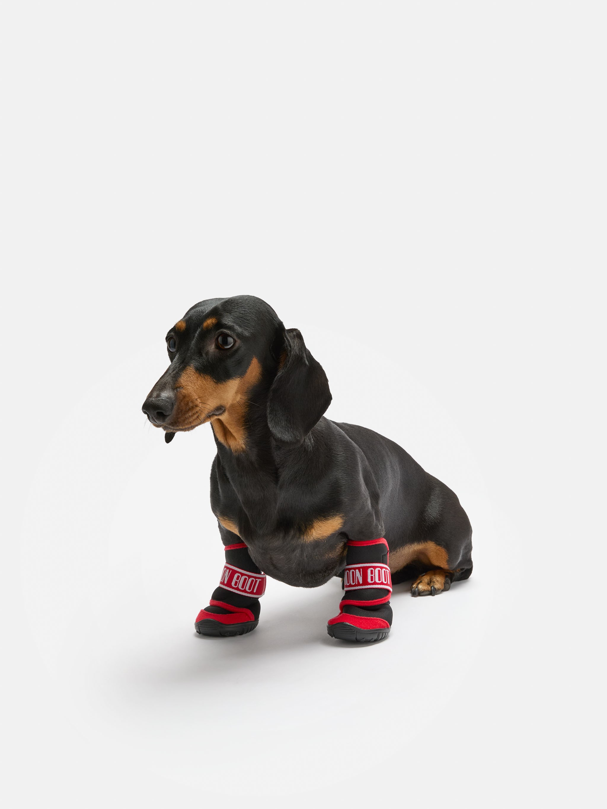 MOON BOOT X POLDO DOG COUTURE ROT HUNDESCHUHE